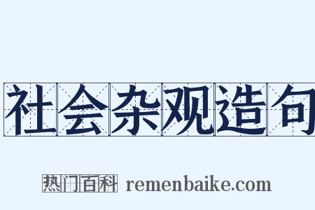 社会杂观造句是什么意思的图片